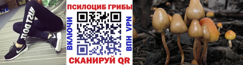 omg ССЫЛКА  дарк нет какой сайт  Галлюциногенные грибы MAGIC MUSHROOMS  Жуков 